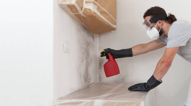 Professional Black Mold Remediation technician working in Marlborough, MA