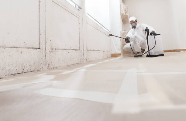 24/7 Emergency Black Mold Remediation experts in Marlborough, MA